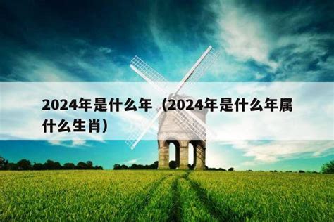 2024年什么年